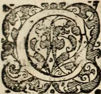 An illustration from Decisiones supremi eminentissimique Senatus Portugalliae ex gravissimorum patrum responsis collectae (1621)
