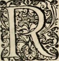 Picture 60 of 139 from Decisiones supremi eminentissimique Senatus Portugalliae ex gravissimorum patrum responsis collectae (1621), leaf 348