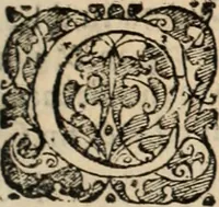 Picture 61 of 139 from Decisiones supremi eminentissimique Senatus Portugalliae ex gravissimorum patrum responsis collectae (1621), leaf 352