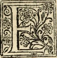 An illustration from Decisiones supremi eminentissimique Senatus Portugalliae ex gravissimorum patrum responsis collectae (1621)