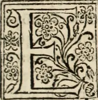 Picture 63 of 139 from Decisiones supremi eminentissimique Senatus Portugalliae ex gravissimorum patrum responsis collectae (1621), leaf 364