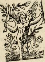 Picture 65 of 139 from Decisiones supremi eminentissimique Senatus Portugalliae ex gravissimorum patrum responsis collectae (1621), leaf 366