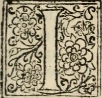 An illustration from Decisiones supremi eminentissimique Senatus Portugalliae ex gravissimorum patrum responsis collectae (1621)