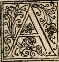 Picture 67 of 139 from Decisiones supremi eminentissimique Senatus Portugalliae ex gravissimorum patrum responsis collectae (1621), leaf 372