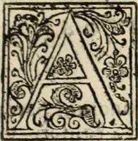 An illustration from Decisiones supremi eminentissimique Senatus Portugalliae ex gravissimorum patrum responsis collectae (1621)