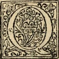 Picture 72 of 139 from Decisiones supremi eminentissimique Senatus Portugalliae ex gravissimorum patrum responsis collectae (1621), leaf 379