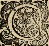 Picture 73 of 139 from Decisiones supremi eminentissimique Senatus Portugalliae ex gravissimorum patrum responsis collectae (1621), leaf 388