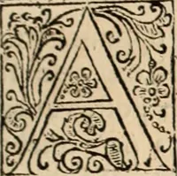 Picture 80 of 139 from Decisiones supremi eminentissimique Senatus Portugalliae ex gravissimorum patrum responsis collectae (1621), leaf 418