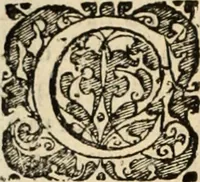 An illustration from Decisiones supremi eminentissimique Senatus Portugalliae ex gravissimorum patrum responsis collectae (1621)
