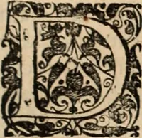 An illustration from Decisiones supremi eminentissimique Senatus Portugalliae ex gravissimorum patrum responsis collectae (1621)