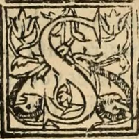 Picture 83 of 139 from Decisiones supremi eminentissimique Senatus Portugalliae ex gravissimorum patrum responsis collectae (1621), leaf 445