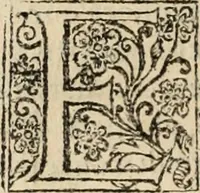 An illustration from Decisiones supremi eminentissimique Senatus Portugalliae ex gravissimorum patrum responsis collectae (1621)