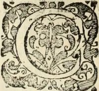 Picture 87 of 139 from Decisiones supremi eminentissimique Senatus Portugalliae ex gravissimorum patrum responsis collectae (1621), leaf 453