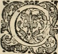 Picture 89 of 139 from Decisiones supremi eminentissimique Senatus Portugalliae ex gravissimorum patrum responsis collectae (1621), leaf 466