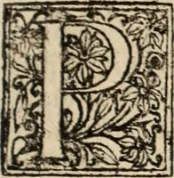 Picture 91 of 139 from Decisiones supremi eminentissimique Senatus Portugalliae ex gravissimorum patrum responsis collectae (1621), leaf 486