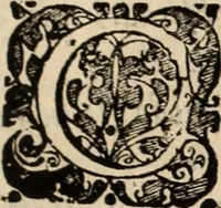 An illustration from Decisiones supremi eminentissimique Senatus Portugalliae ex gravissimorum patrum responsis collectae (1621)
