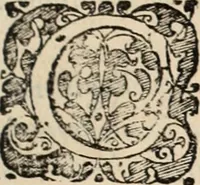 Picture 94 of 139 from Decisiones supremi eminentissimique Senatus Portugalliae ex gravissimorum patrum responsis collectae (1621), leaf 502