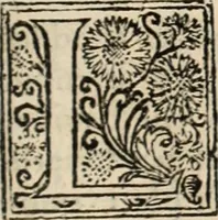 Picture 95 of 139 from Decisiones supremi eminentissimique Senatus Portugalliae ex gravissimorum patrum responsis collectae (1621), leaf 506