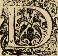 Picture 103 of 139 from Decisiones supremi eminentissimique Senatus Portugalliae ex gravissimorum patrum responsis collectae (1621), leaf 521