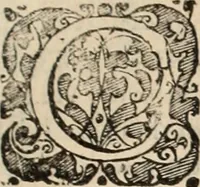An illustration from Decisiones supremi eminentissimique Senatus Portugalliae ex gravissimorum patrum responsis collectae (1621)