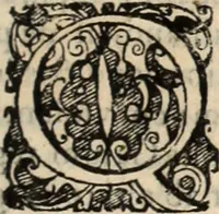 Picture 108 of 139 from Decisiones supremi eminentissimique Senatus Portugalliae ex gravissimorum patrum responsis collectae (1621), leaf 534