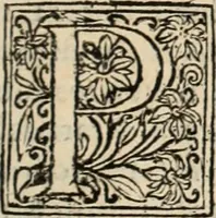 Picture 111 of 139 from Decisiones supremi eminentissimique Senatus Portugalliae ex gravissimorum patrum responsis collectae (1621), leaf 540