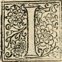 Picture 114 of 139 from Decisiones supremi eminentissimique Senatus Portugalliae ex gravissimorum patrum responsis collectae (1621), leaf 547
