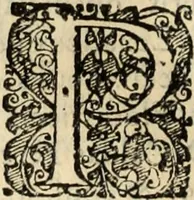 Picture 115 of 139 from Decisiones supremi eminentissimique Senatus Portugalliae ex gravissimorum patrum responsis collectae (1621), leaf 551