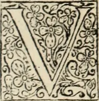 An illustration from Decisiones supremi eminentissimique Senatus Portugalliae ex gravissimorum patrum responsis collectae (1621)