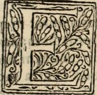 Picture 120 of 139 from Decisiones supremi eminentissimique Senatus Portugalliae ex gravissimorum patrum responsis collectae (1621), leaf 586