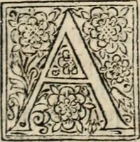 Picture 122 of 139 from Decisiones supremi eminentissimique Senatus Portugalliae ex gravissimorum patrum responsis collectae (1621), leaf 592
