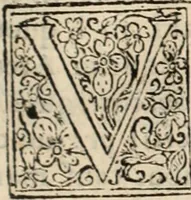 An illustration from Decisiones supremi eminentissimique Senatus Portugalliae ex gravissimorum patrum responsis collectae (1621)