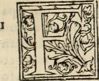 Picture 124 of 139 from Decisiones supremi eminentissimique Senatus Portugalliae ex gravissimorum patrum responsis collectae (1621), leaf 596
