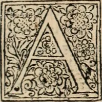 Picture 125 of 139 from Decisiones supremi eminentissimique Senatus Portugalliae ex gravissimorum patrum responsis collectae (1621), leaf 598