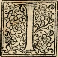 Picture 126 of 139 from Decisiones supremi eminentissimique Senatus Portugalliae ex gravissimorum patrum responsis collectae (1621), leaf 599