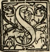 Picture 128 of 139 from Decisiones supremi eminentissimique Senatus Portugalliae ex gravissimorum patrum responsis collectae (1621), leaf 605