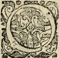 Picture 129 of 139 from Decisiones supremi eminentissimique Senatus Portugalliae ex gravissimorum patrum responsis collectae (1621), leaf 607