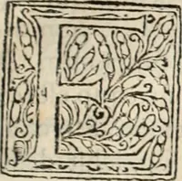 Picture 130 of 139 from Decisiones supremi eminentissimique Senatus Portugalliae ex gravissimorum patrum responsis collectae (1621), leaf 608