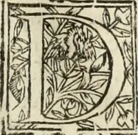 Picture 131 of 139 from Decisiones supremi eminentissimique Senatus Portugalliae ex gravissimorum patrum responsis collectae (1621), leaf 609