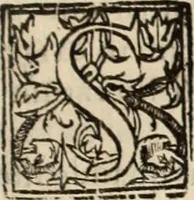 Picture 132 of 139 from Decisiones supremi eminentissimique Senatus Portugalliae ex gravissimorum patrum responsis collectae (1621), leaf 610