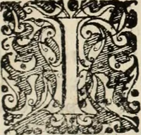 An illustration from Decisiones supremi eminentissimique Senatus Portugalliae ex gravissimorum patrum responsis collectae (1621)