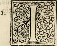 Picture 134 of 139 from Decisiones supremi eminentissimique Senatus Portugalliae ex gravissimorum patrum responsis collectae (1621), leaf 615