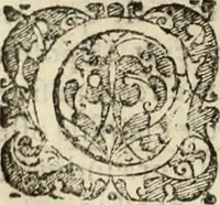 Picture 136 of 139 from Decisiones supremi eminentissimique Senatus Portugalliae ex gravissimorum patrum responsis collectae (1621), leaf 617
