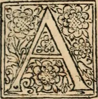 An illustration from Decisiones supremi eminentissimique Senatus Portugalliae ex gravissimorum patrum responsis collectae (1621)