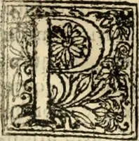 Picture 12 of 139 from Decisiones supremi eminentissimique Senatus Portugalliae ex gravissimorum patrum responsis collectae (1621), leaf 77