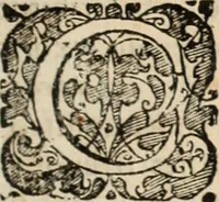 An illustration from Decisiones supremi eminentissimique Senatus Portugalliae ex gravissimorum patrum responsis collectae (1621)