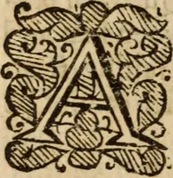 Picture 13 of 15 from An explicite declaration of the testimony of Christ according to the plain sayings of the Gospel : and therein, of the purposes, promises, and covenants of God, as by Gospel declared ... (1656), leaf 551