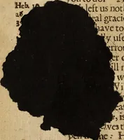 Picture 15 of 15 from An explicite declaration of the testimony of Christ according to the plain sayings of the Gospel : and therein, of the purposes, promises, and covenants of God, as by Gospel declared ... (1656), leaf 601