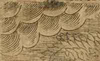 Picture 180 of 270 from Declaracion magistral sobre las emblemas de Andres Alciato con todas las historias, antiguedades, moralidad y doctrina tocante a las buenas costumbres (1615), leaf 647
