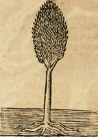 An illustration from Declaracion magistral sobre las emblemas de Andres Alciato con todas las historias, antiguedades, moralidad y doctrina tocante a las buenas costumbres (1615)